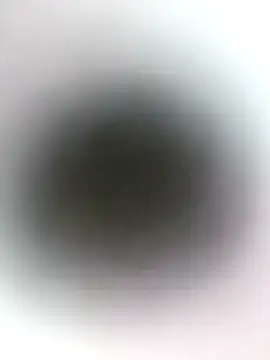 novio-de-la-tarde online show from 04.24.26