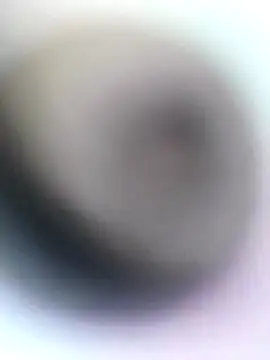 novio-de-la-tarde online show from 04.28.26