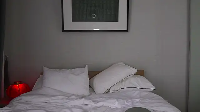 Snapshot of bonjour_nihao_hello chatting on 02.17.26 bonjour nihao hello online show from 02.17.26