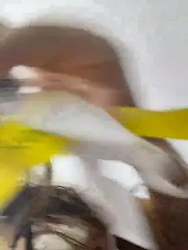 Snapshot of jinx_candy chatting on 02.01.26 jinx candy online show from 02.01.26