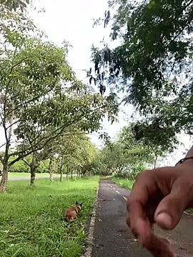 Maicol xxxx online show from 03.12.26