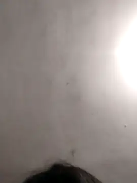 vanNe78 online show from 01.14.26