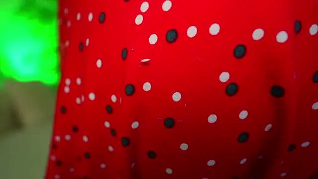 Snapshot of HappyLisa chatting on 12.31.24 HappyLisa online show from 12.31.24