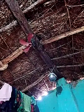 Rajni hote online show from 02.13.26