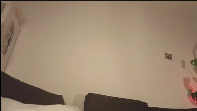 poli blink online show from 04.22.26