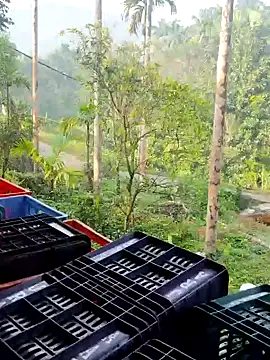 ancyauhuss online show from 12.22.25