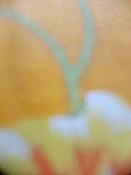 Hooghlypinkivabi online show from 02.20.26