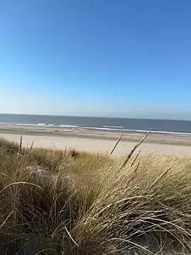 friemeldepiemel online show from 03.05.26