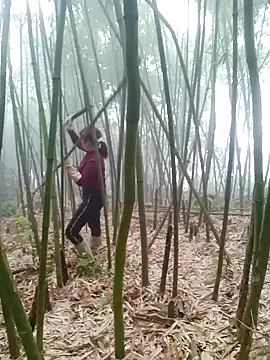 yeutinh00 online show from 03.11.26