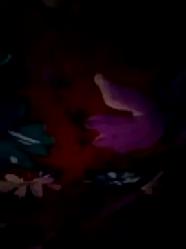 ramya sri online show from 02.21.26