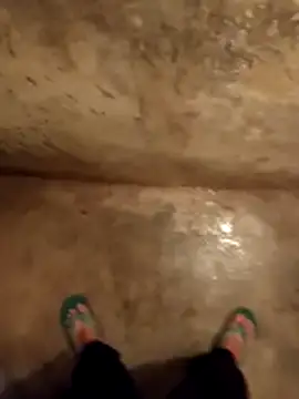 daksh  8 inche online show from 01.15.26