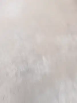 Snapshot of daksh__8_inche chatting on 04.07.26 daksh 8 inche online show from 04.07.26