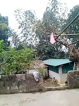 muamua99 online show from 01.17.26