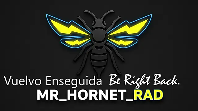 s hornet online show from 05.04.26
