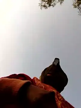 Jyoti sekh online show from 02.10.26