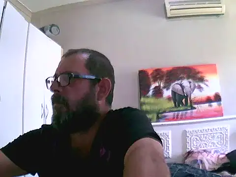 palmview2 online show from 03.06.26