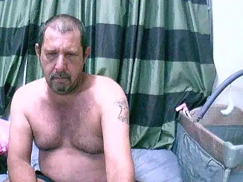 palmview2 online show from 03.13.26