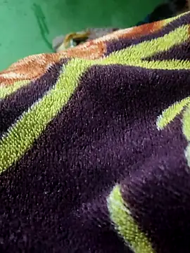 Snapshot of Cupalshow123 chatting on 01.13.26 Cupalshow123 online show from 01.13.26