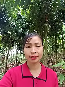 xiaogoal online show from 06.11.26