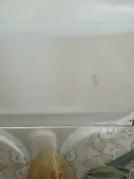 Snapshot of Pagelboy_089 chatting on 03.19.26 Pagelboy 089 online show from 03.19.26