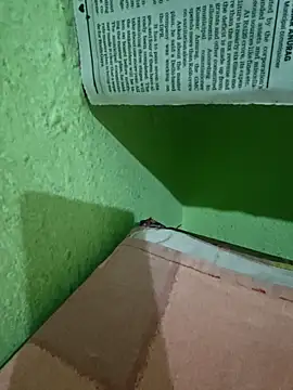 Pagelboy 089 online show from 04.09.26