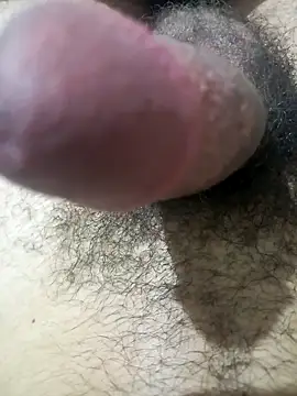 Snapshot of So1sh chatting on 04.04.26 So1sh online show from 04.04.26