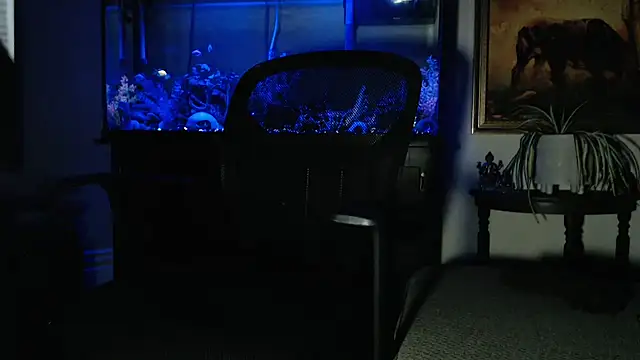 EspanolVato online show from 02.08.26