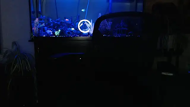 EspanolVato online show from 04.23.26