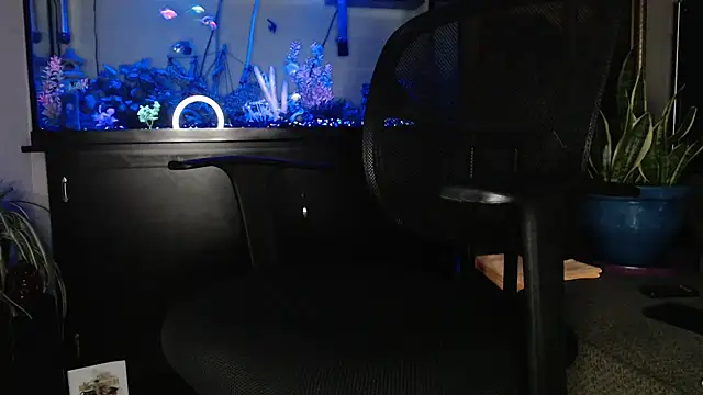 EspanolVato online show from 05.06.26