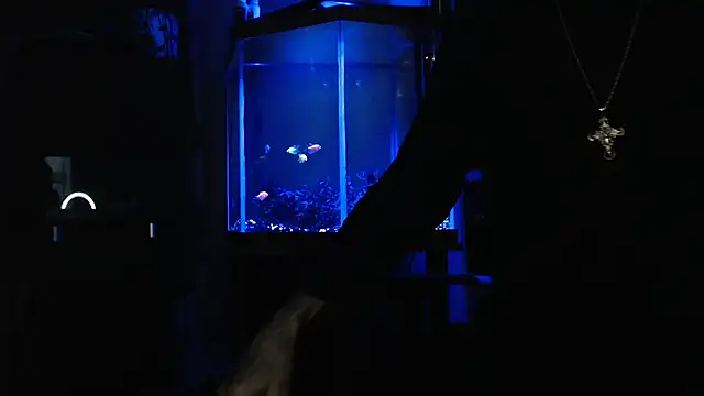 EspanolVato online show from 05.27.26