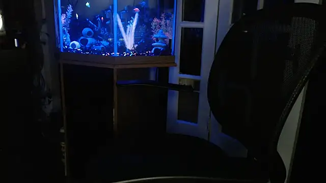 EspanolVato online show from 06.10.26