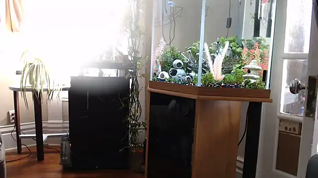 EspanolVato online show from 06.12.26