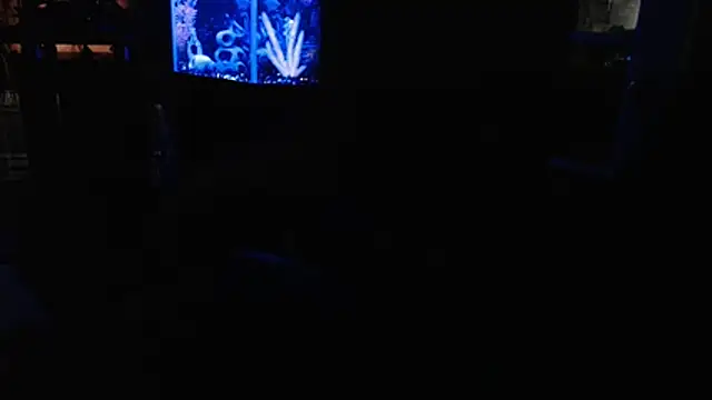 EspanolVato online show from 07.04.26