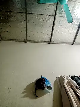 Sana-vn online show from 01.15.26