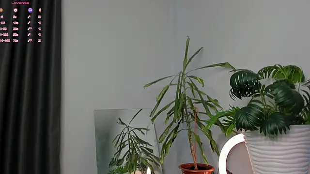 ManiJuanaa online show from 05.08.26