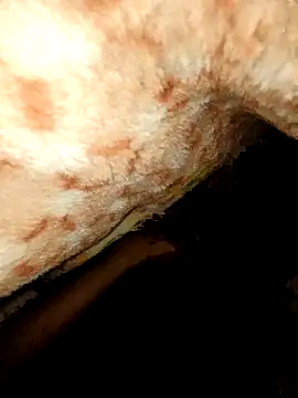 rohit16770 online show from 01.18.26