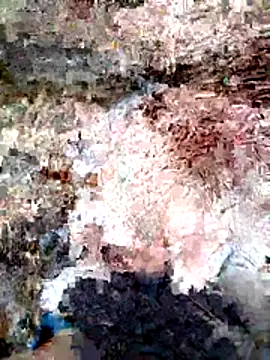 ParejaSutra69 online show from 01.08.26