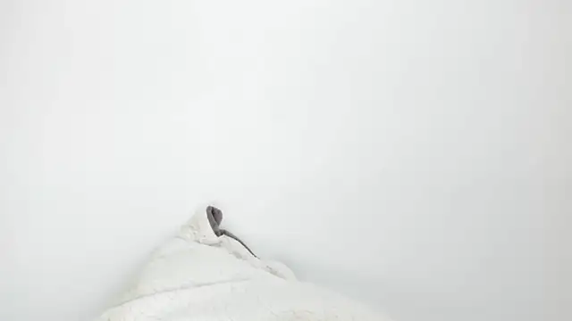 Sarah sumemers online show from 03.04.26