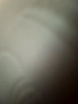 CockForPussy1508 online show from 03.31.26