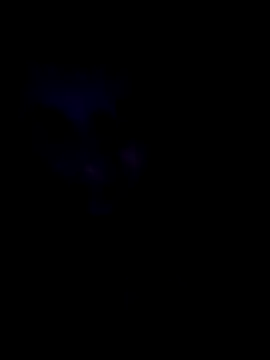 Sonja200 online show from 01.08.26