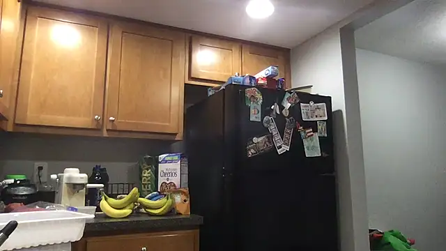 Snapshot of bottombeargaming chatting on 01.14.26 bottombeargaming online show from 01.14.26