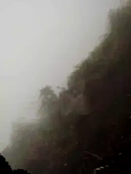 cdyyds-69 online show from 03.11.26