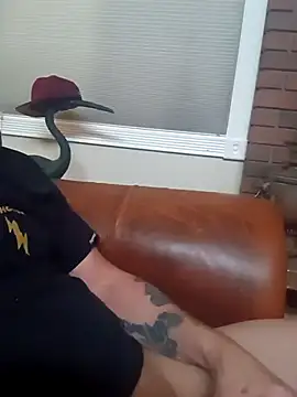 biswingcruiser online show from 03.07.26