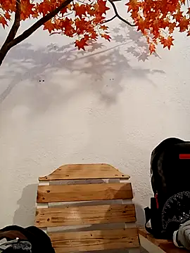 Dante Knox online show from 03.16.26