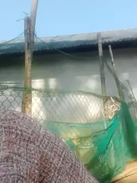 jjennyyy online show from 01.12.26