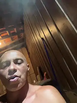 dogfrota online show from 02.16.26