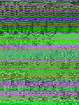 Charlotte-ee online show from 03.14.26