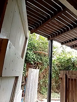 dicklife3485 online show from 02.24.26