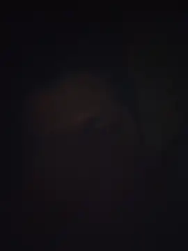 Snapshot of Pravin9562 chatting on 03.04.26 Pravin9562 online show from 03.04.26