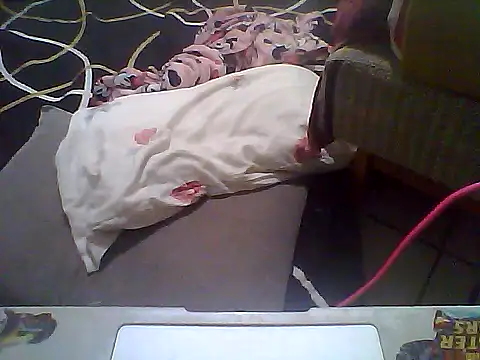 Snapshot of japosamel chatting on 01.17.26 japosamel online show from 01.17.26